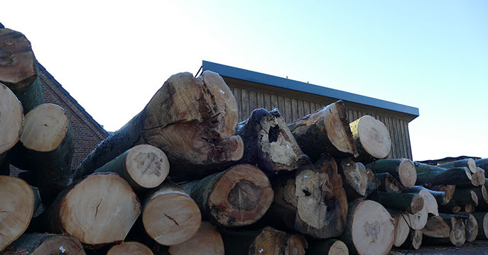 Isselhuker Kaminholz Brünen, Wesel, Dinslaken, Bocholt und Umgebung