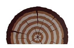 Logo Kaminholz