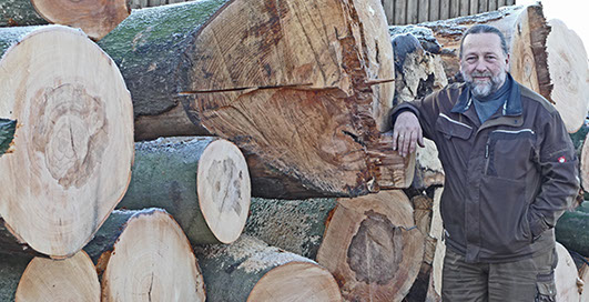 Holzscheite Kaminholz